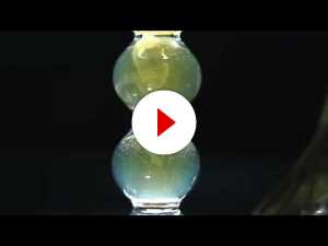 Viking Verte Video od AbsinthNYC Hector