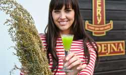 Záznam není přeložen